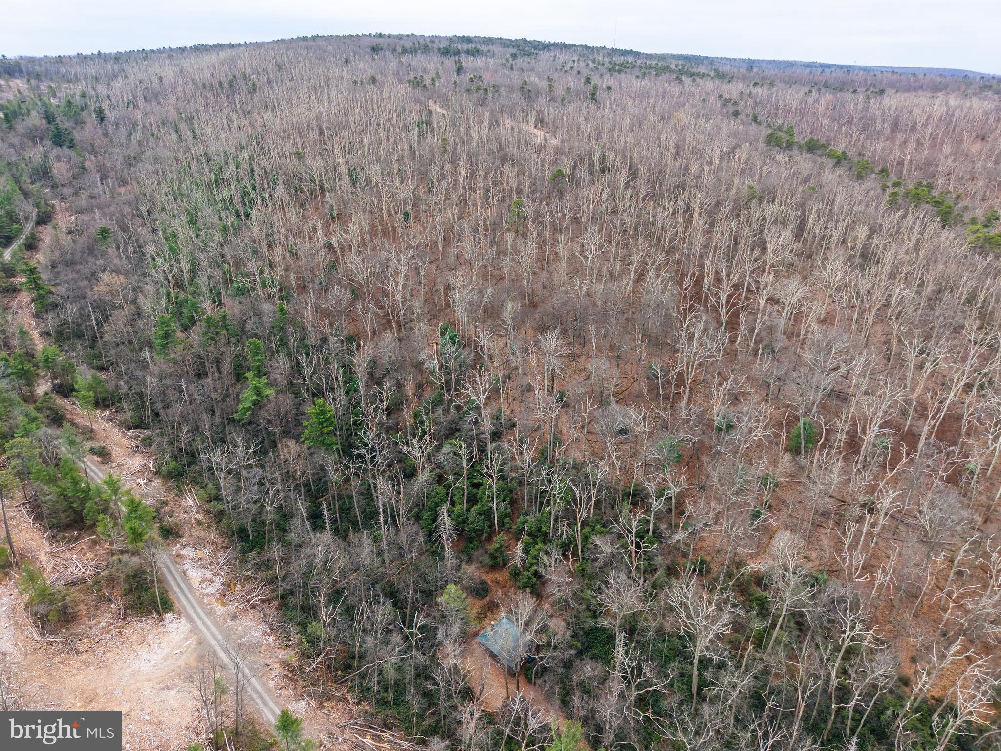0 Means Hollow Road Shippensburg, PA 17257 - Photo 43 of 52 a view of a dry field