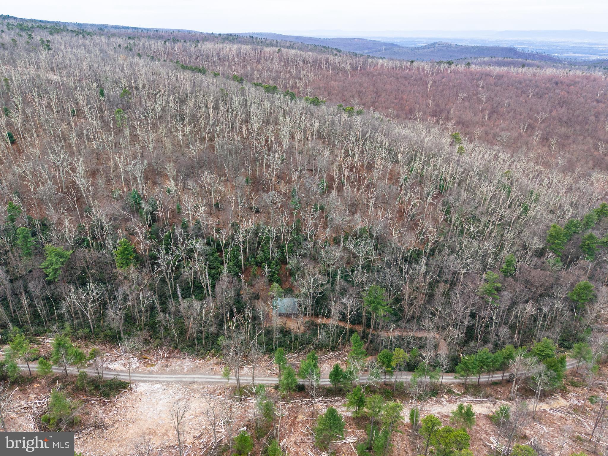 0 Means Hollow Road Shippensburg, PA 17257 - Photo 44 of 52 a view of a yard with a wooden fence