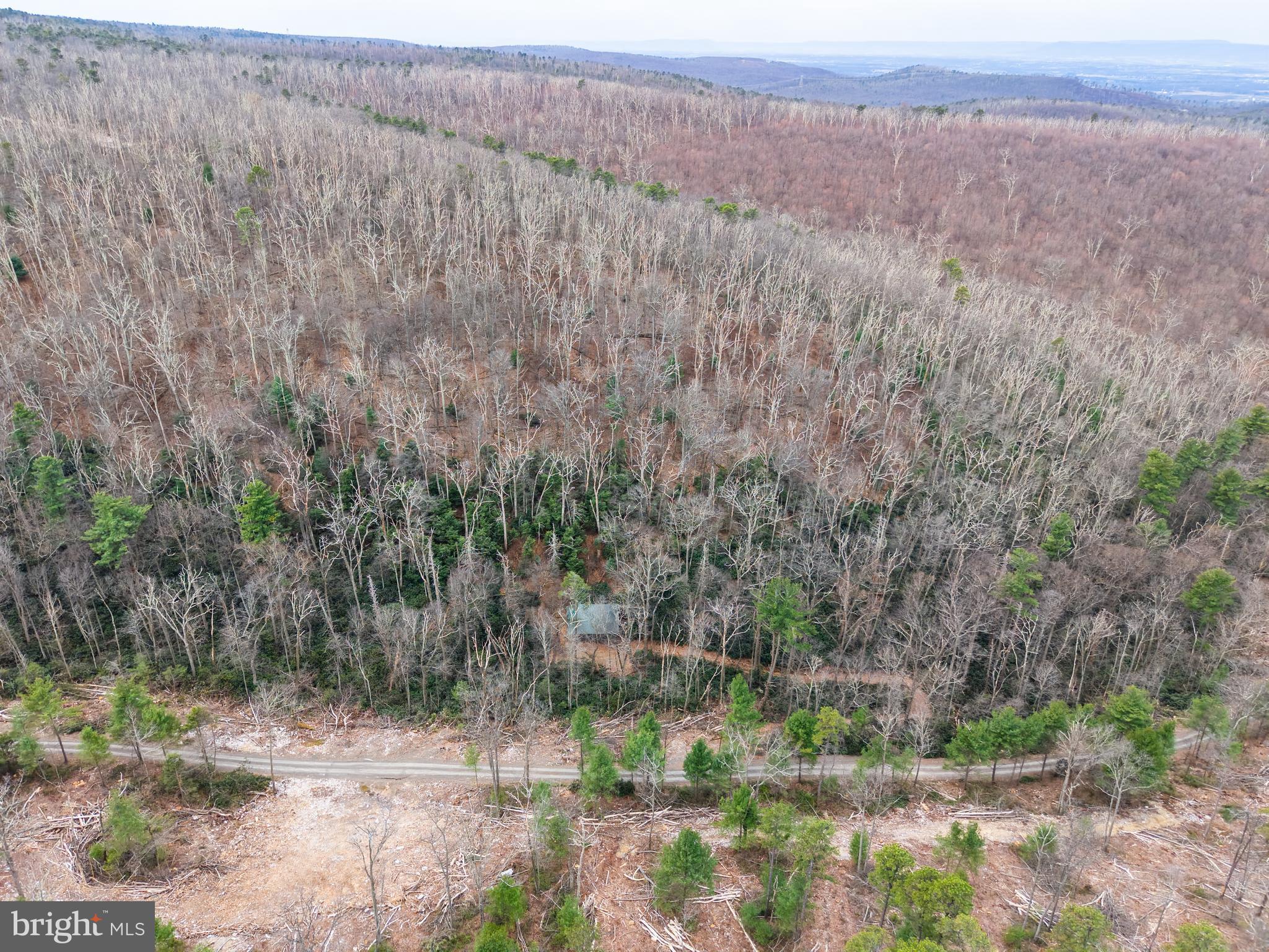 0 Means Hollow Road Shippensburg, PA 17257 - Photo 45 of 52 a view of a yard