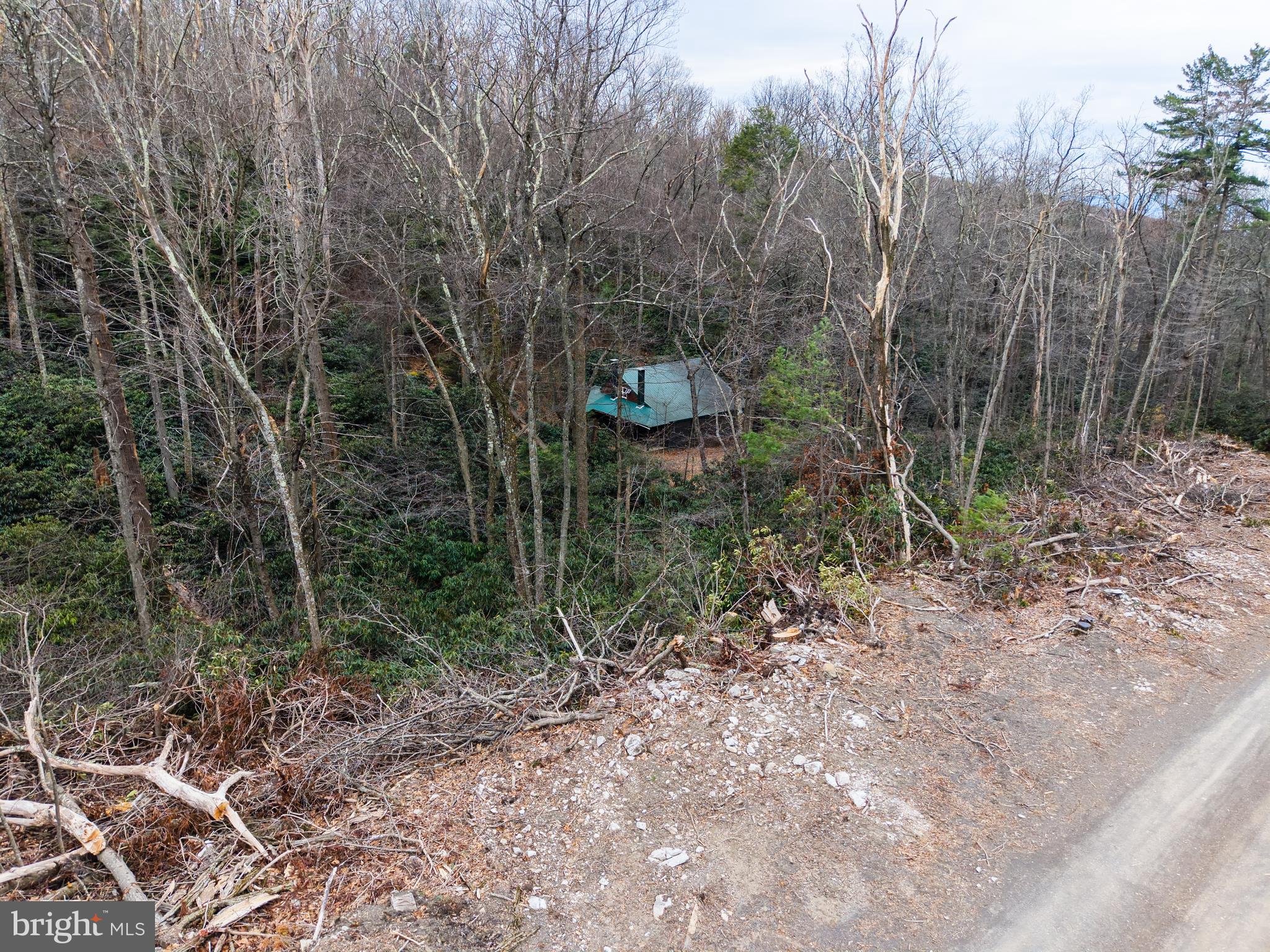 0 Means Hollow Road Shippensburg, PA 17257 - Photo 47 of 52 a view of a forest filled with trees