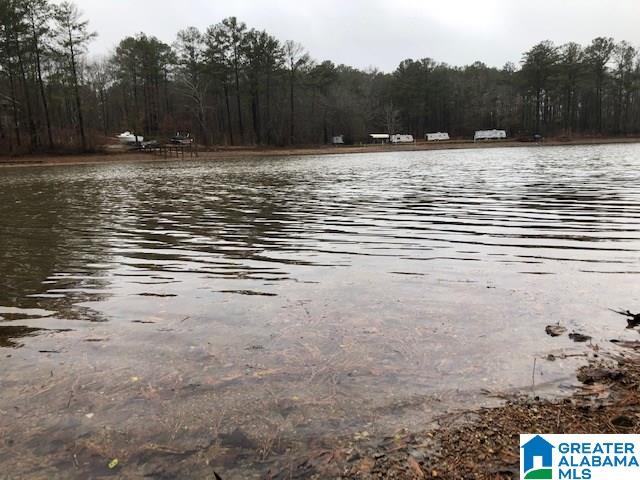 0 Lakeside Lane, Unit 31 Alpine, AL 35014 - Photo 33 of 42