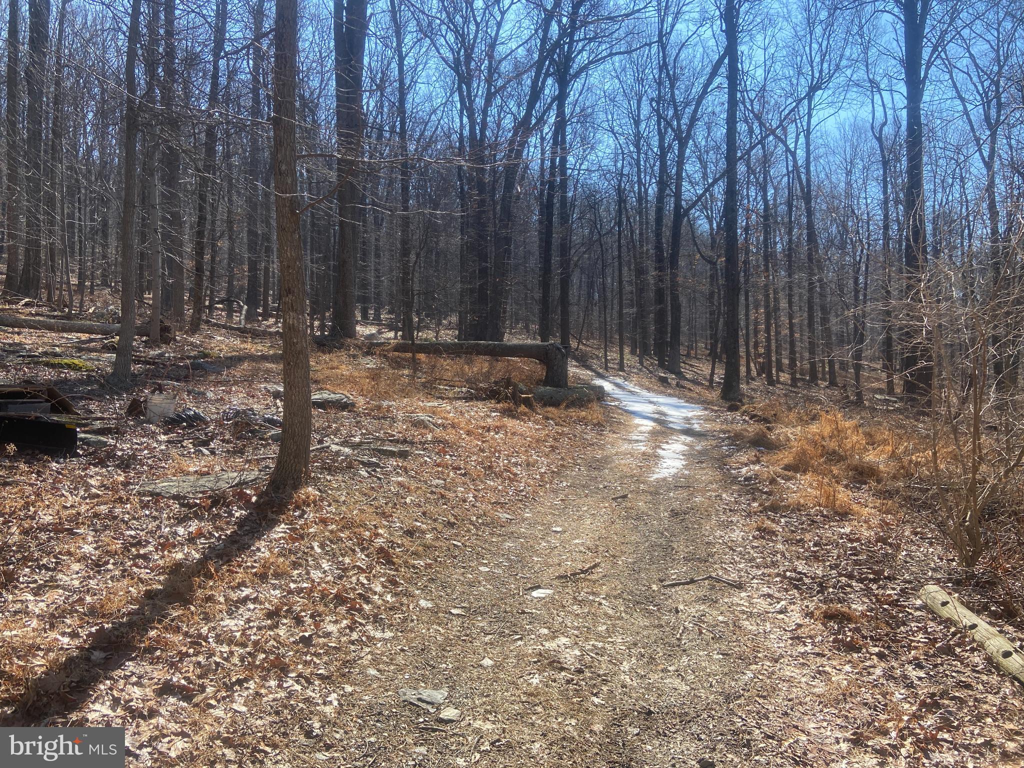 8939 Hawbottom Road Middletown, MD 21769 - Photo 38 of 80 ATV trail