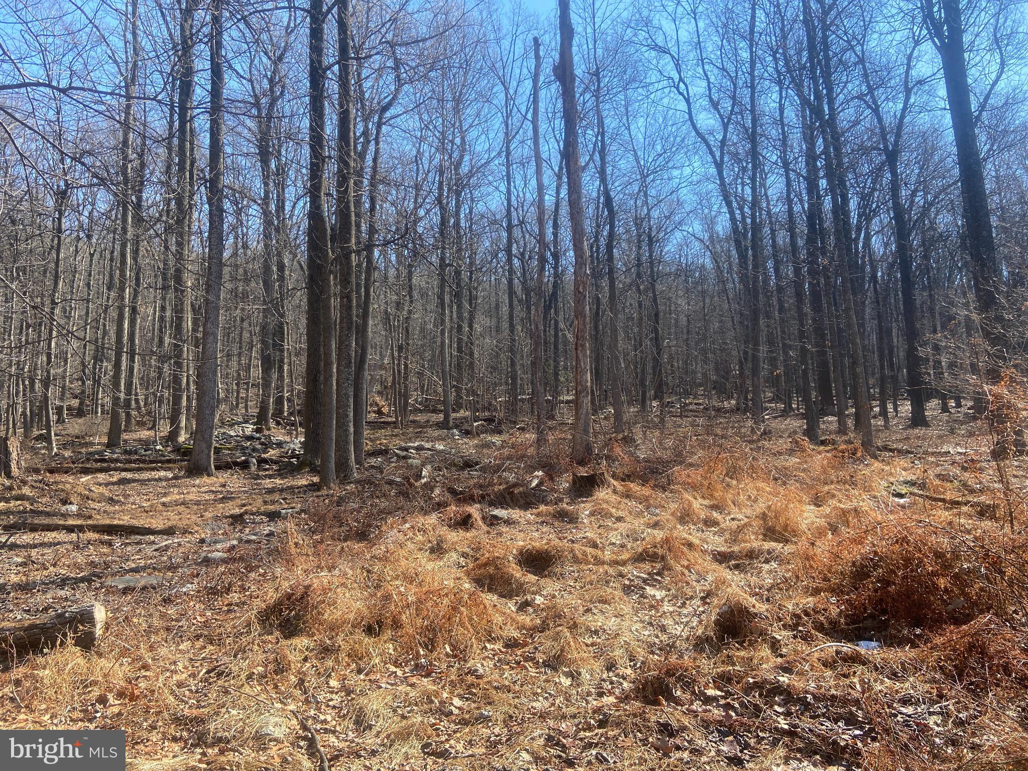 8939 Hawbottom Road Middletown, MD 21769 - Photo 50 of 80