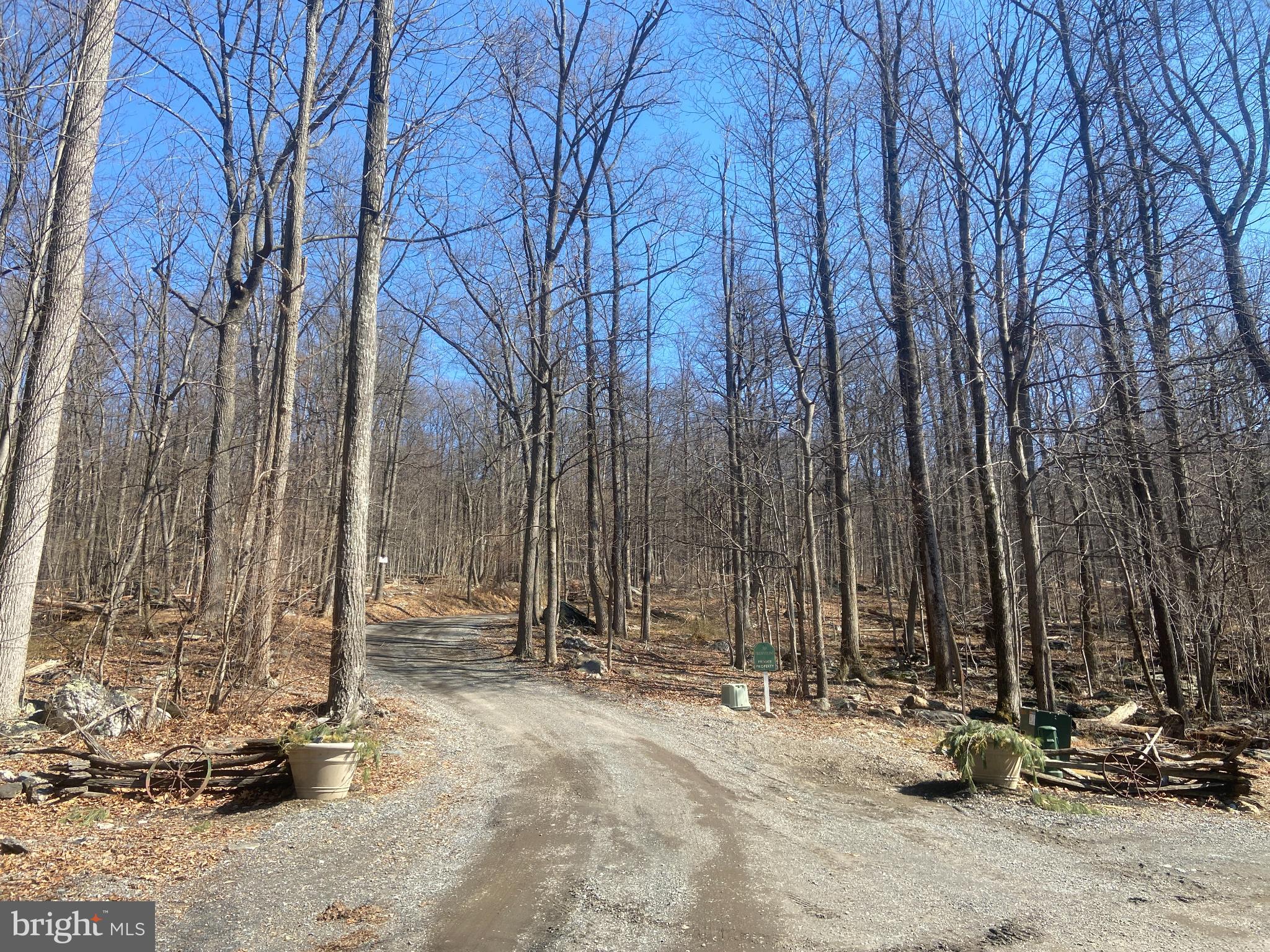 8939 Hawbottom Road Middletown, MD 21769 - Photo 51 of 80 Driveway