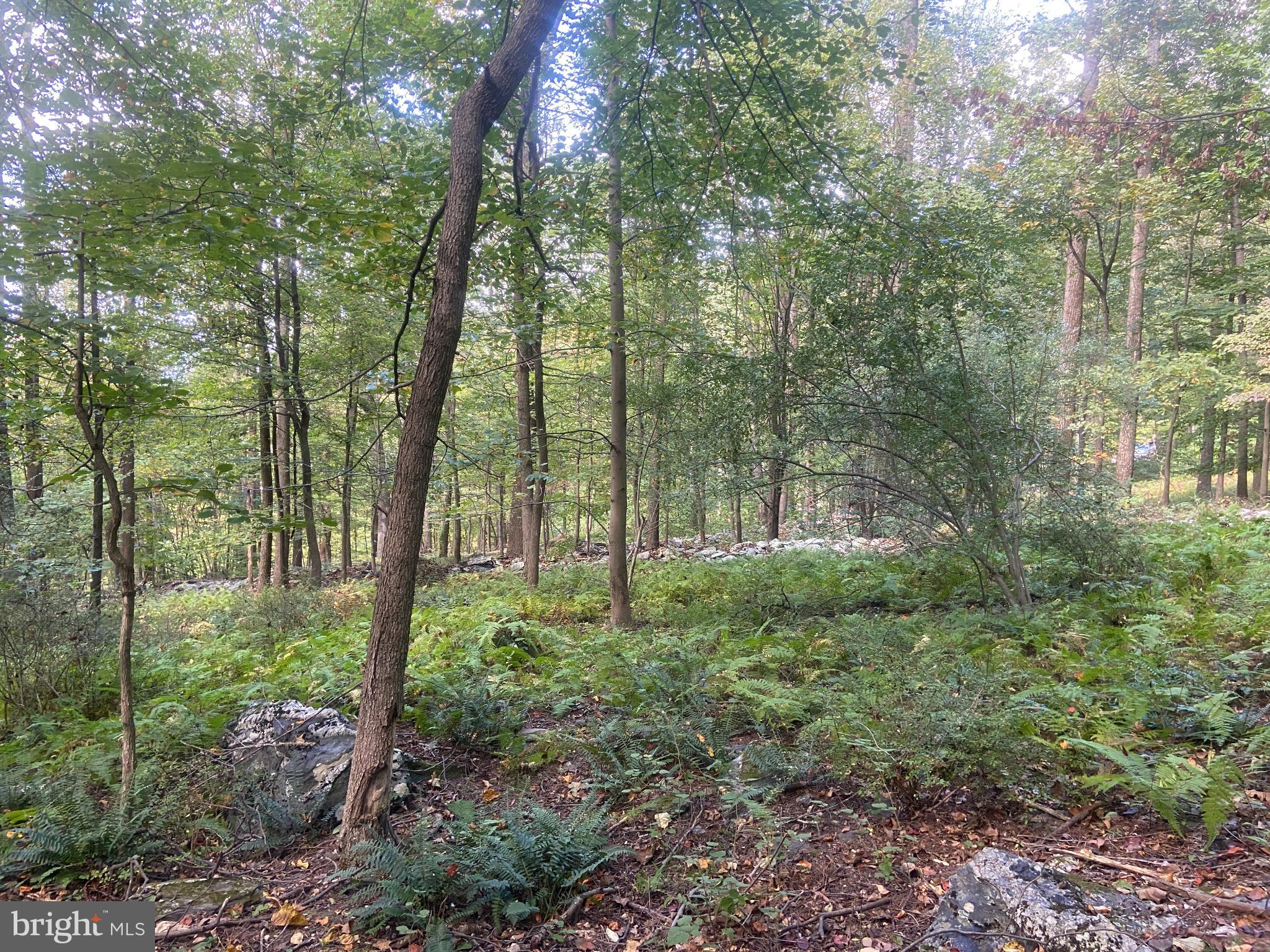 8939 Hawbottom Road Middletown, MD 21769 - Photo 60 of 80