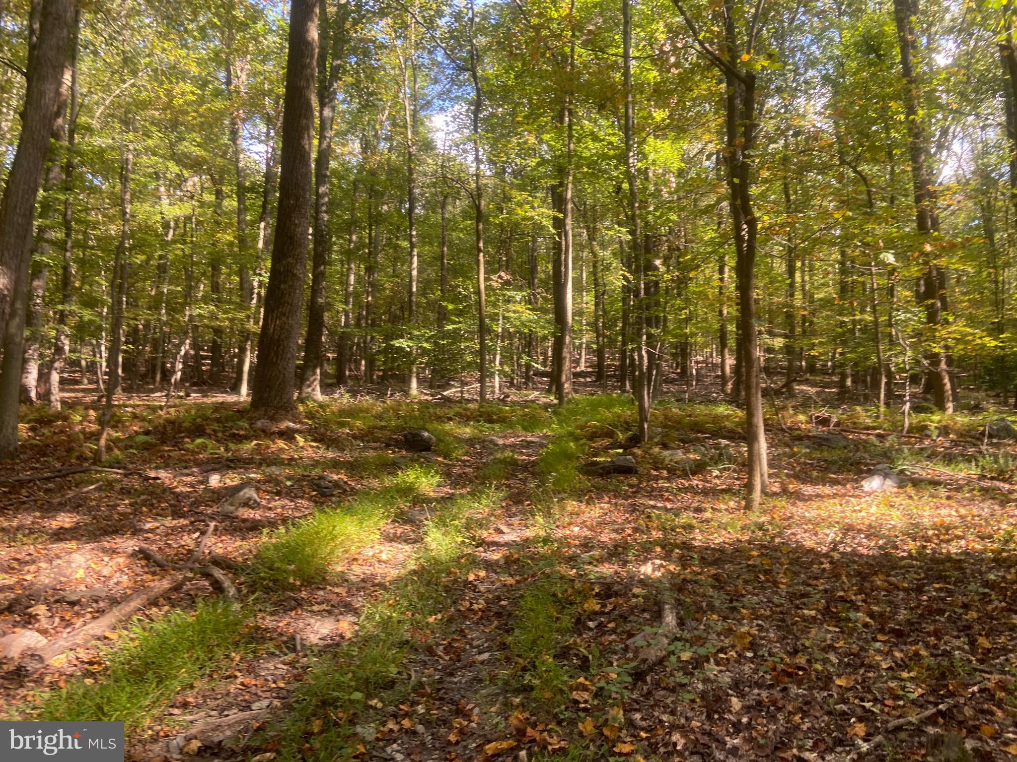 8939 Hawbottom Road Middletown, MD 21769 - Photo 62 of 80