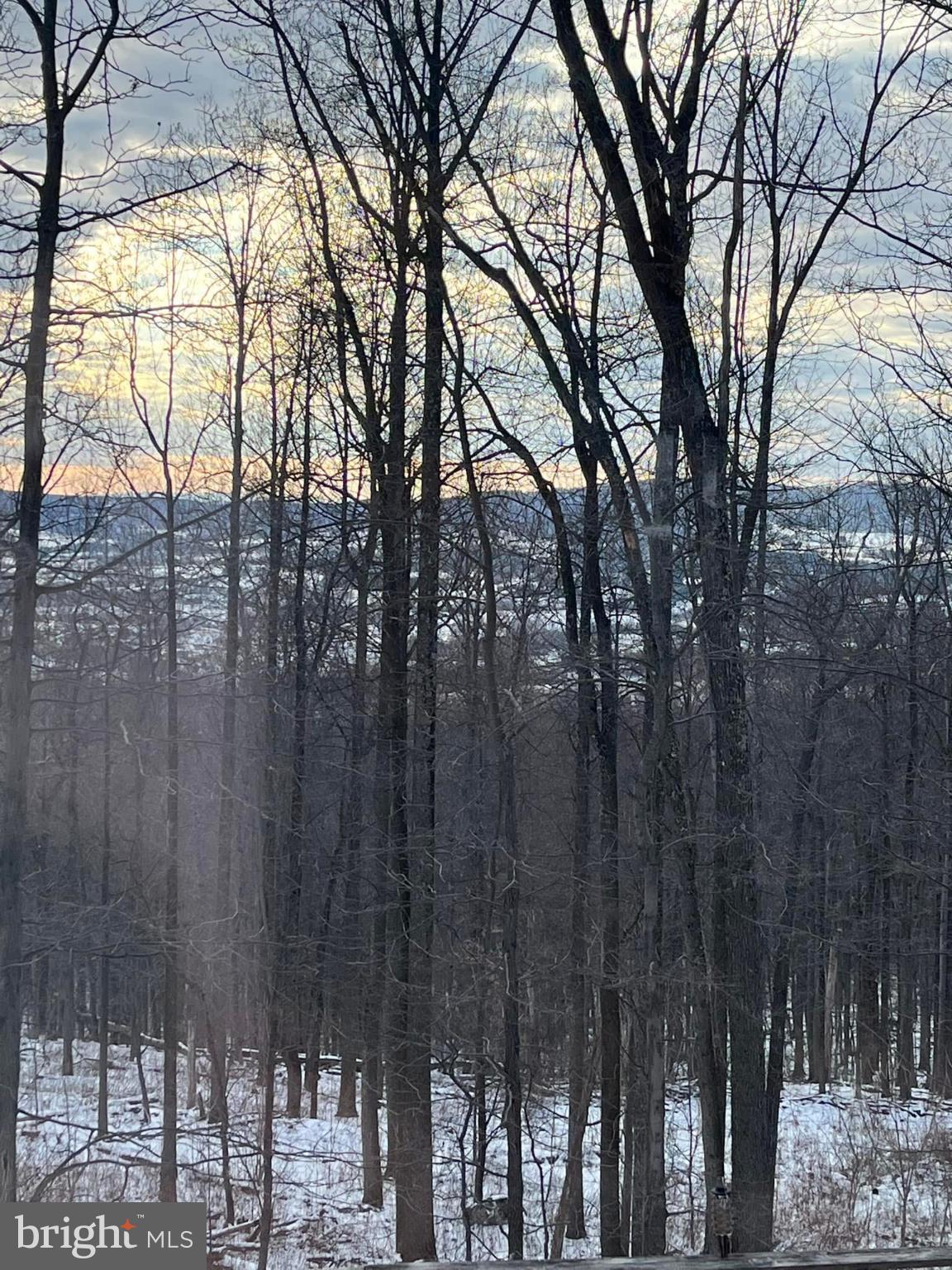8939 Hawbottom Road Middletown, MD 21769 - Photo 72 of 80 View from the house in the winter