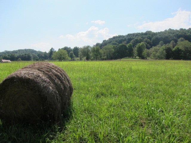 2025 Pete Lynch Road Secondcreek, WV 24974 - Photo 73 of 94 Plenty of hay from these fields!
