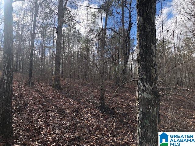 206 County Road, Unit 34 Wedowee, AL 36278 - Photo 3 of 8