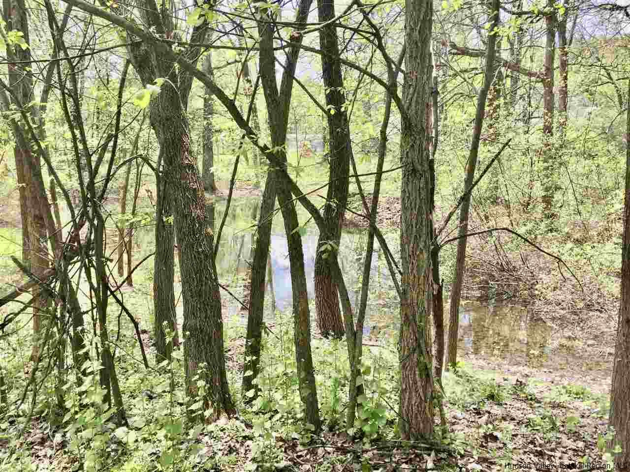46 Towpath Road Accord, NY 12404 - Photo 14 of 15 Photo 14