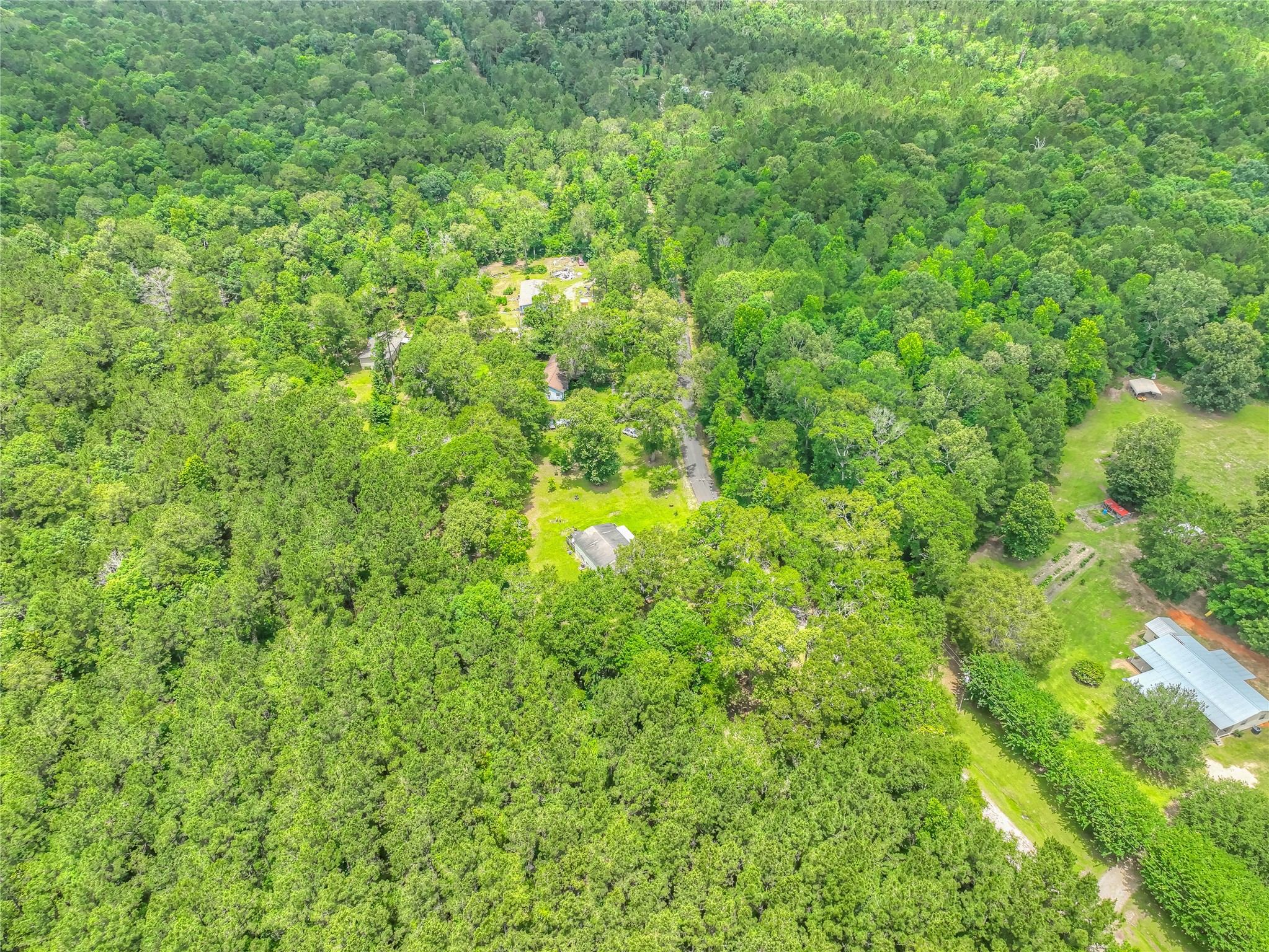 657 Parrish Road Livingston, TX 77351 - Photo 34 of 47 a view of a big yard with plants and large trees