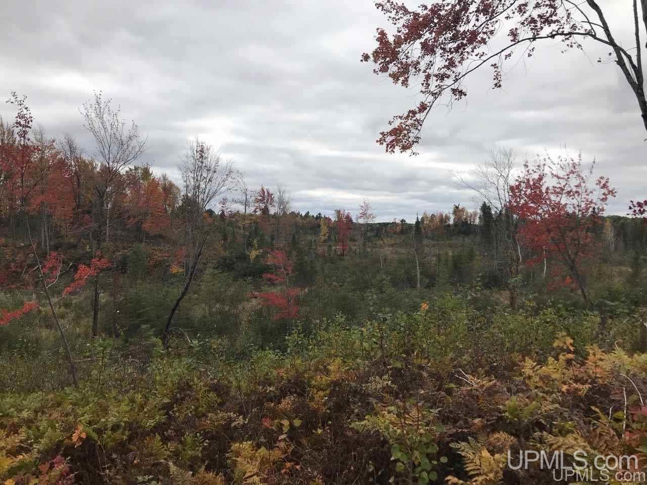 Tbd Off Woods Road Negaunee, MI 49849 - Photo 2 of 15