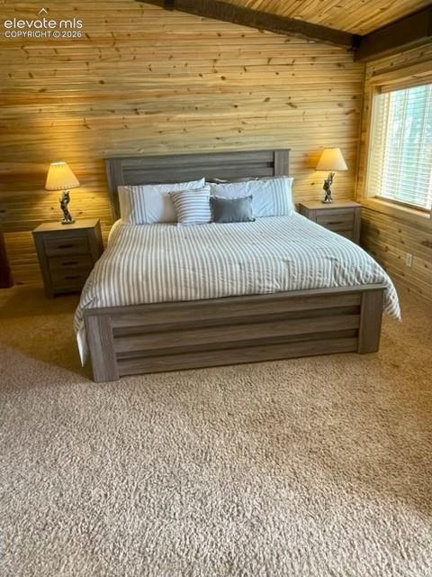 269 Southpark Road Florissant, CO 80816 - Photo 21 of 37