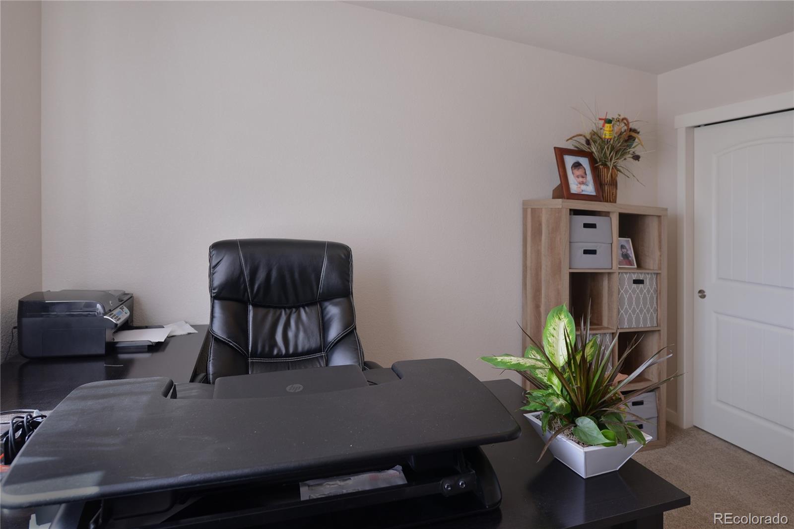 1643 Alpine Avenue Berthoud, CO 80513 - Photo 22 of 40 a living room with furniture and a potted plant