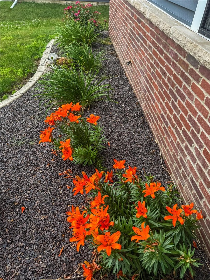 500 Raef Road Downs, IL 61736 - Photo 38 of 46