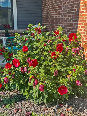 $449,900 | 500 Raef Road, Downs, IL 61736