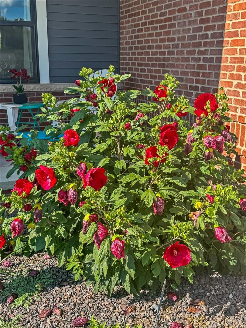 500 Raef Road Downs, IL 61736 - Photo 44 of 46