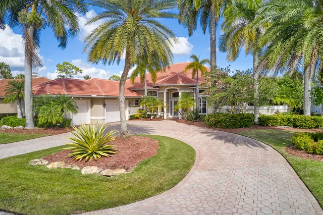 a view of a swimming pool with a lawn chairs under palm trees