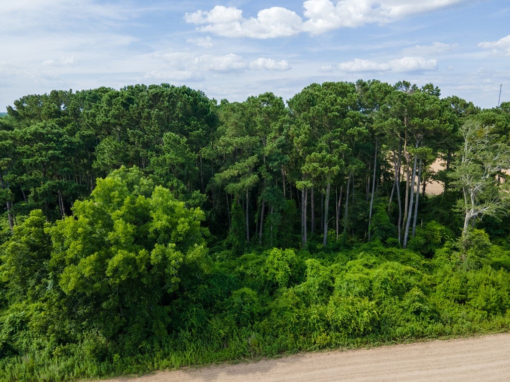0 John Buck McCoy Road Moultrie, GA 31788 - Photo 11 of 11 Gallery Image 11