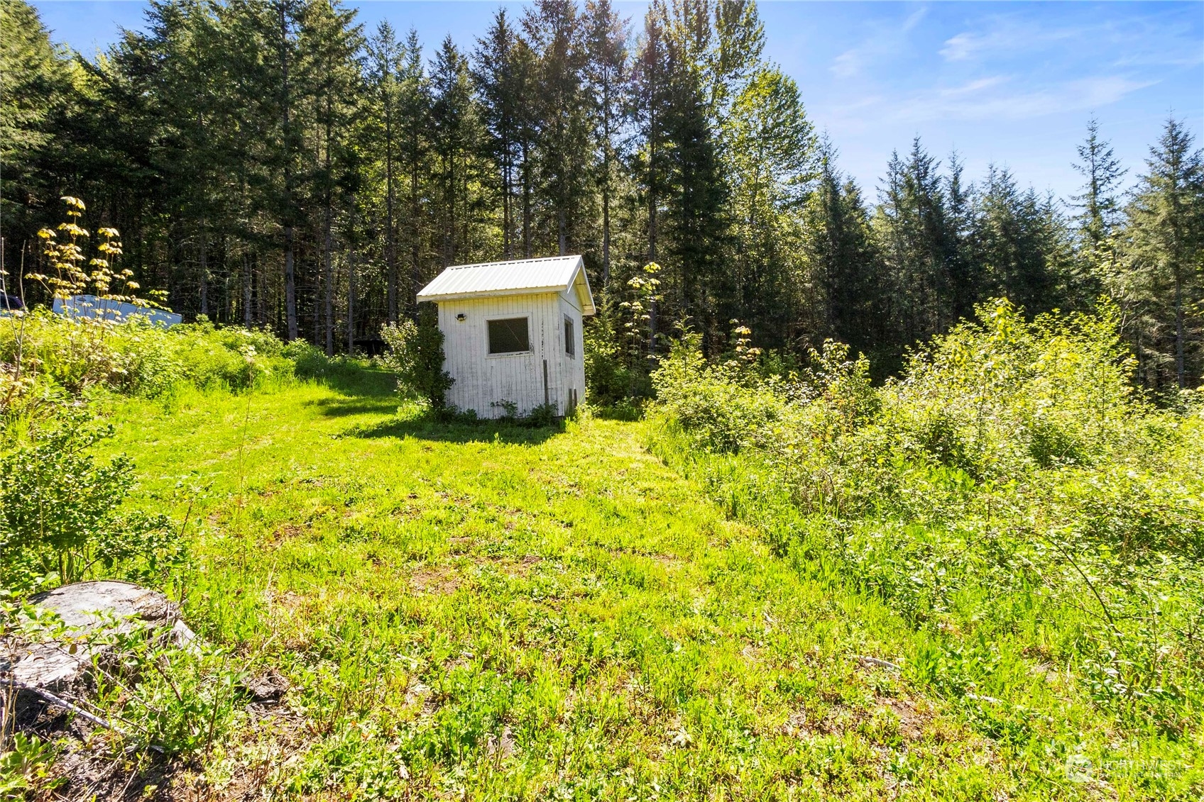 735 Davis Lake Road Morton, WA 98356 - Photo 12 of 34 Gallery Image 12