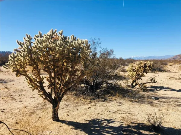a view of a snow on a field