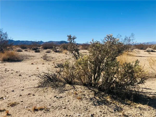 a view of a yard with snow on the road