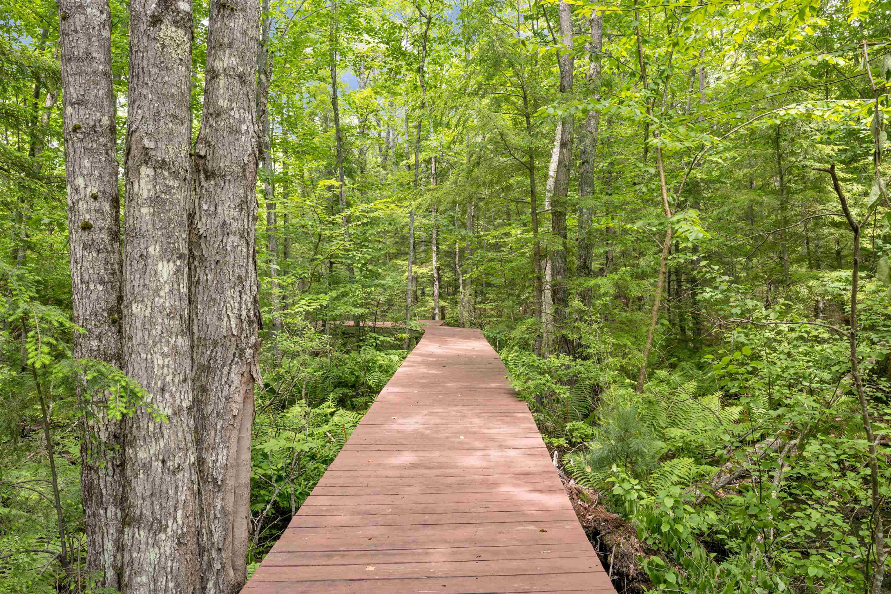 249 Coffin Brook Road Alton, NH 03809 - Photo 37 of 39