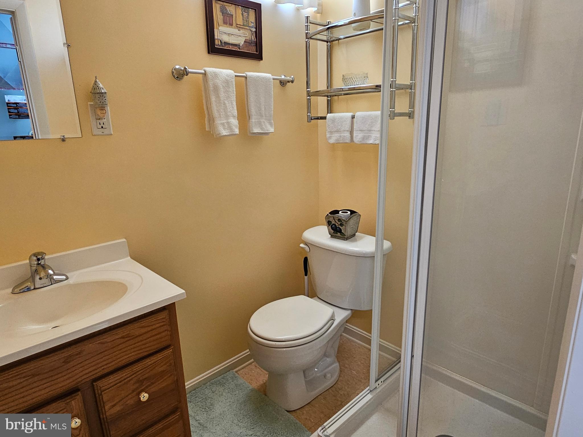 633 Medway Road Hagerstown, MD 21740 - Photo 27 of 29 full basement bathroom