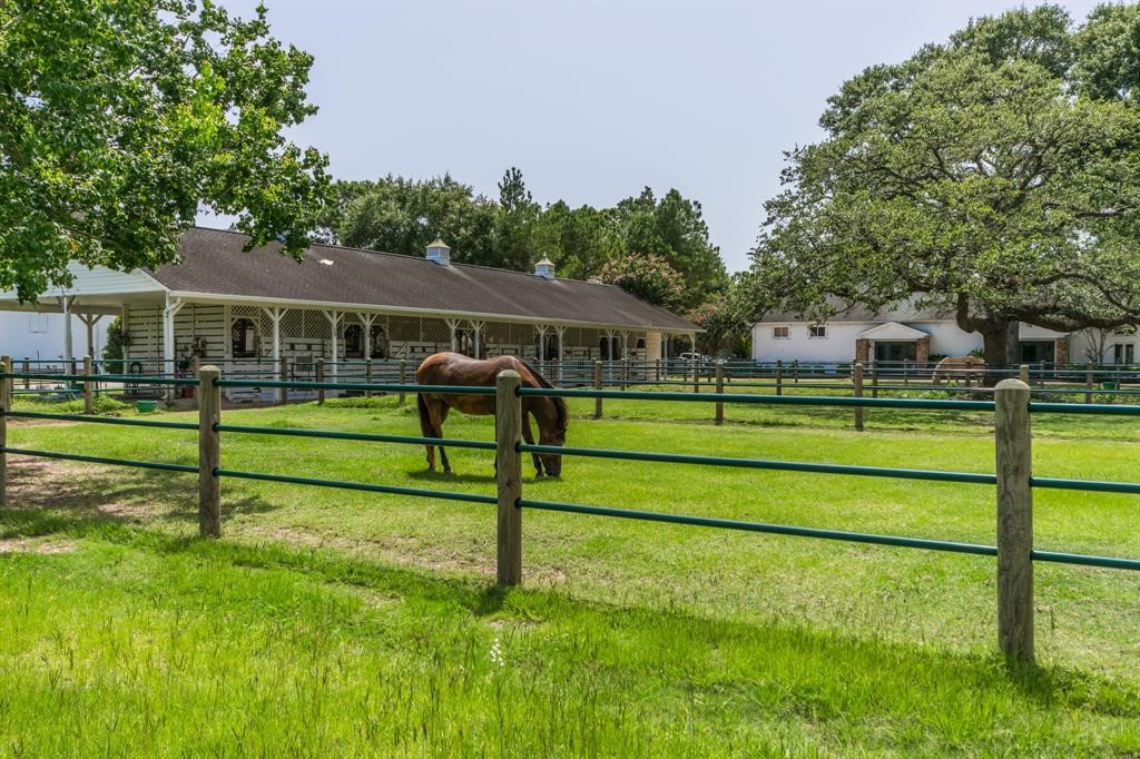 19902 Tidy Tips Lane Spring, TX 77379 - Photo 41 of 49 a view of a house with backyard and trees