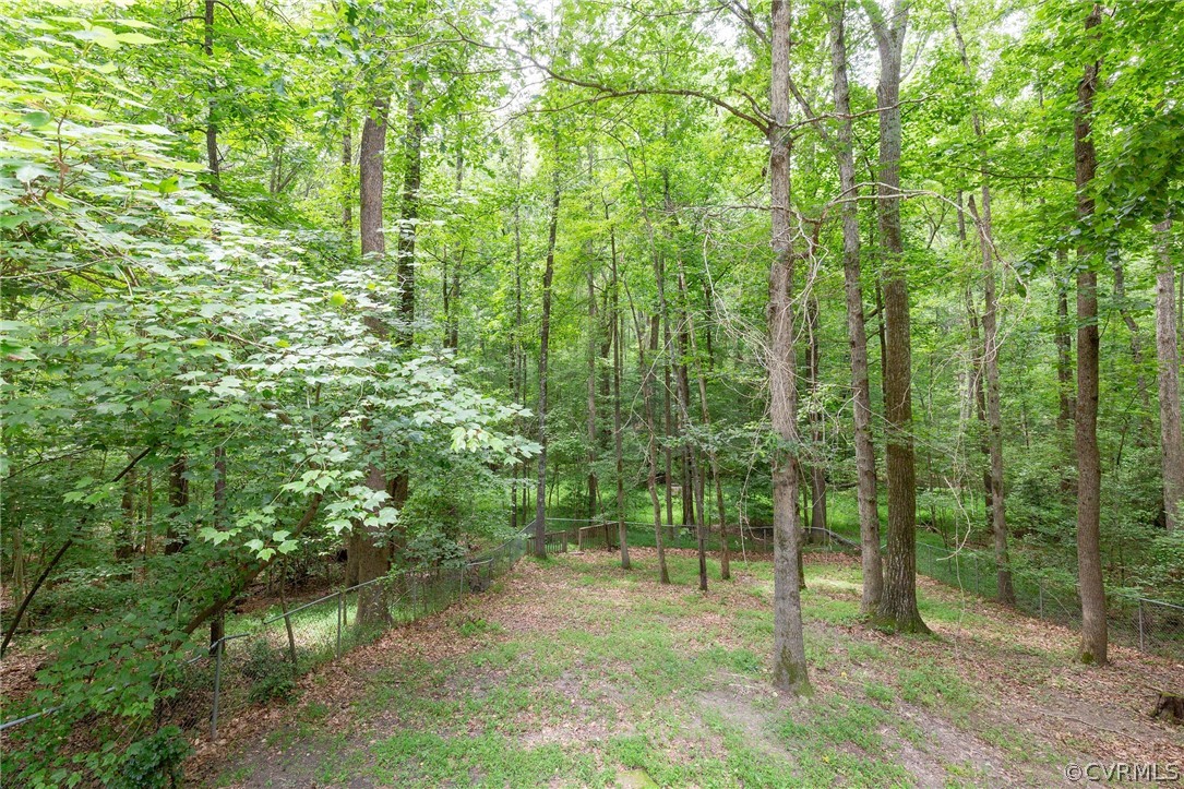 9901 Millers Run Road Chesterfield, VA 23236 - Photo 43 of 44 a backyard of a house with lots of green space