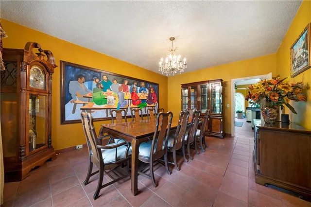 a dining room with furniture a rug a potted plant and a chandelier