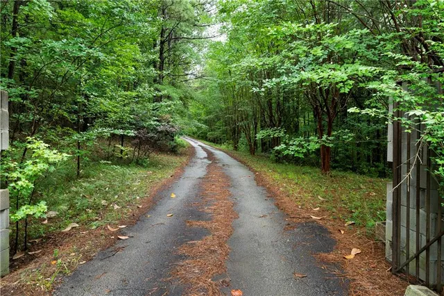 a view of a street with a yard of the house