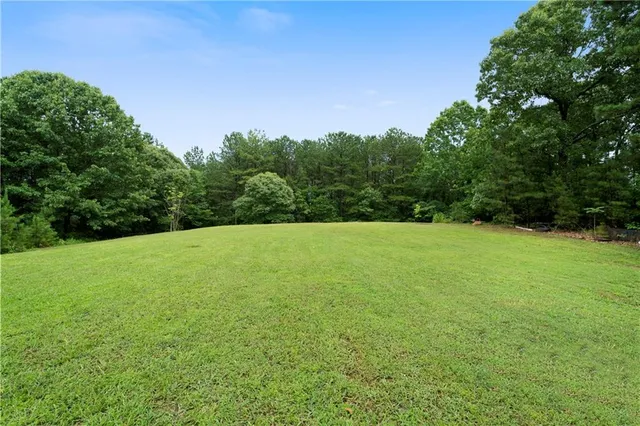 a view of a field with a trees in the background