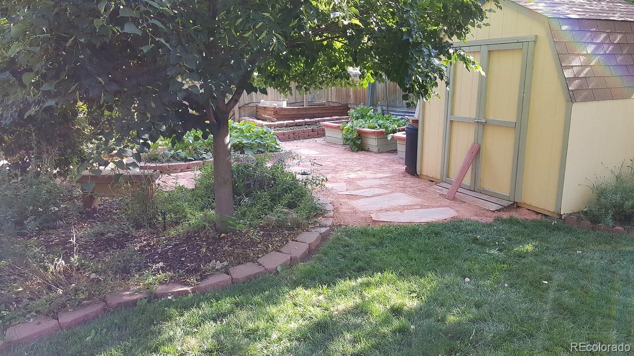 805 Nelson Park Drive Longmont, CO 80503 - Photo 31 of 33 a view of a backyard with large trees and plants