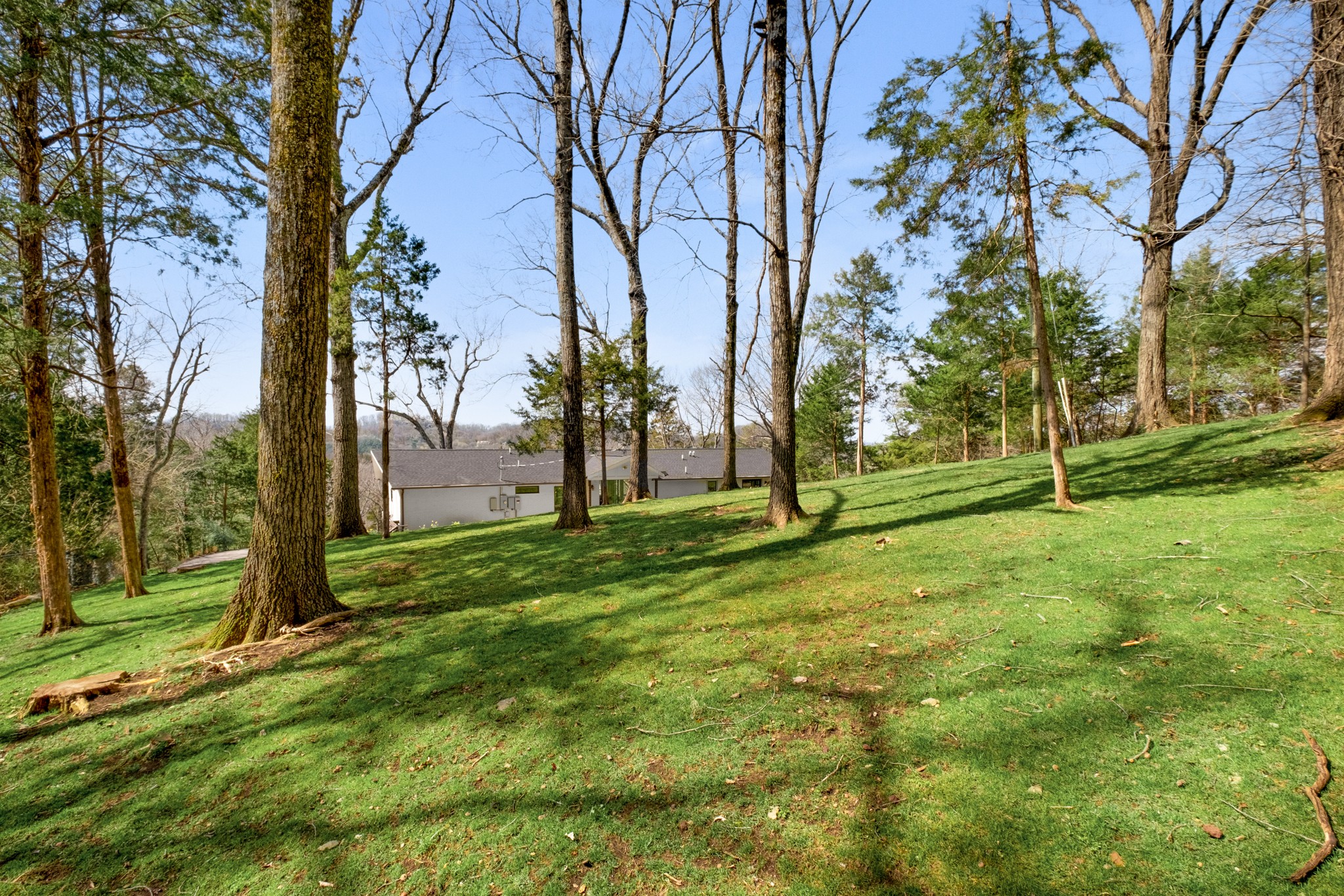 4628 Shys Hill Road Nashville, TN 37215 - Photo 38 of 42 a view of backyard with tree