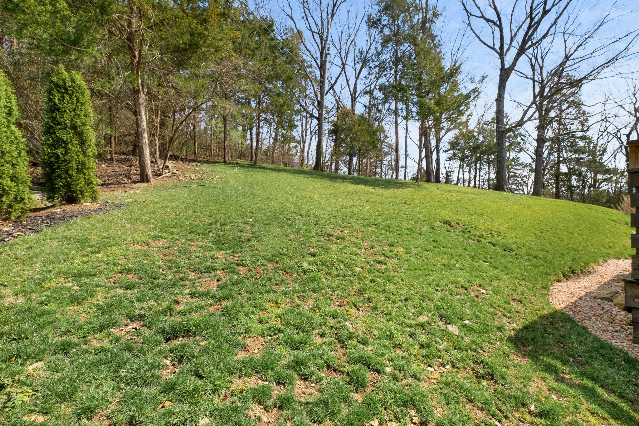 4628 Shys Hill Road Nashville, TN 37215 - Photo 40 of 42 a view of a yard with large trees