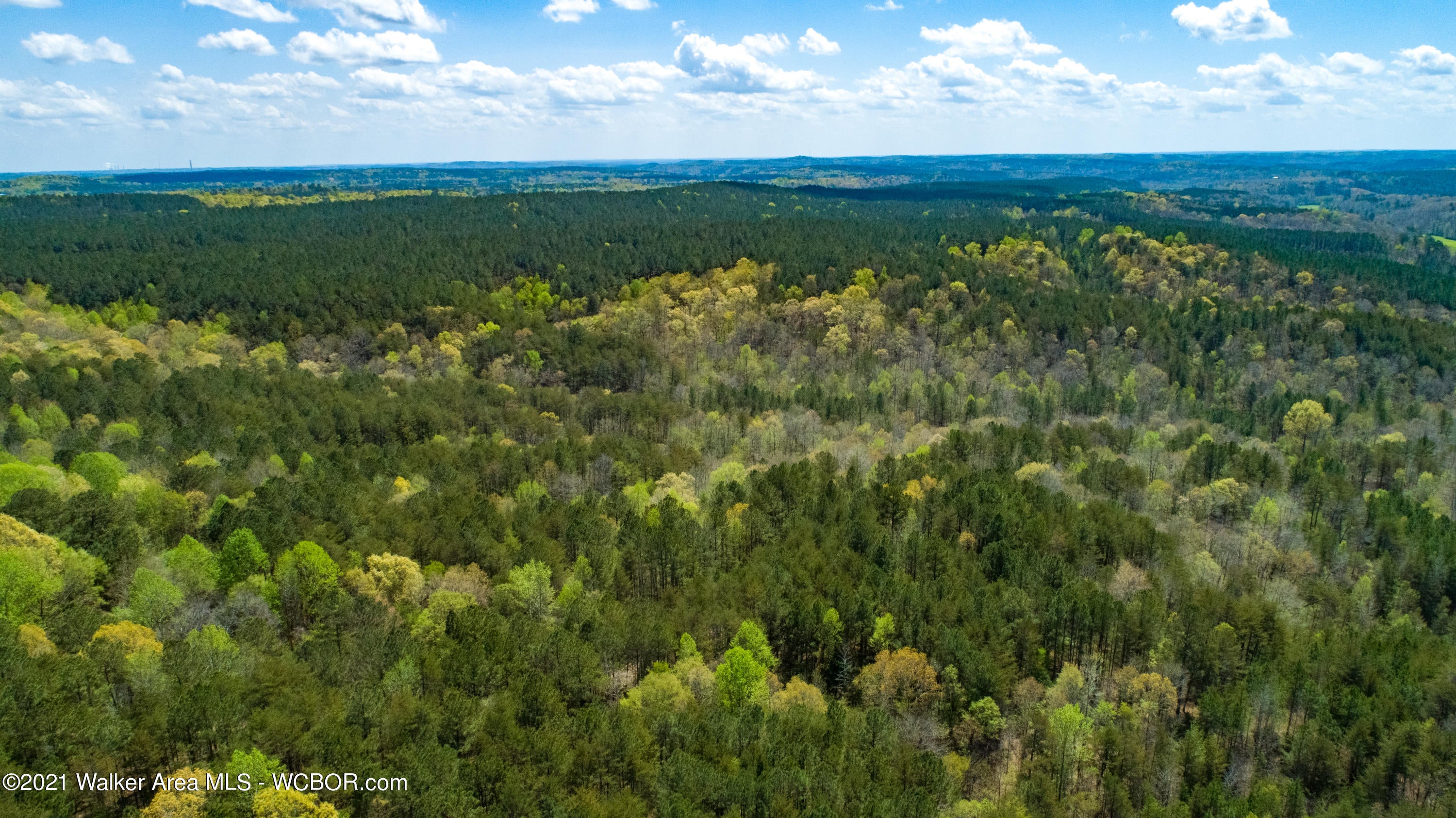 Key Road Oakman, AL 35579 - Photo 7 of 8 Gallery Image 7