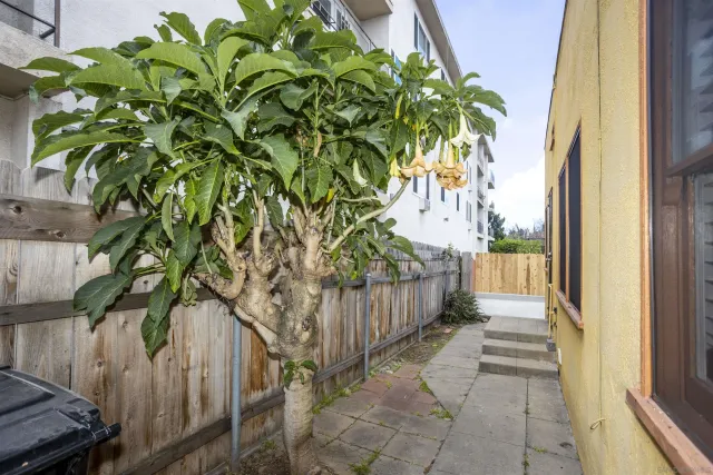 a view of a pathway of a white house with a small yard and wooden fence