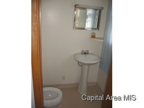 733 North Hill Street Springfield, IL 62702 - Photo 12 of 14 Gallery Image 12