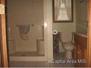733 North Hill Street Springfield, IL 62702 - Photo 13 of 14 Gallery Image 13