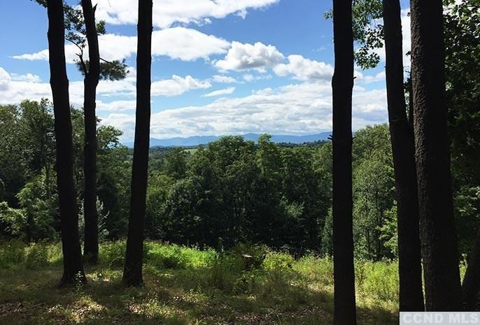 0 Co Rte 16 Claverack, NY 12513 - Photo 1 of 8 Photo 1