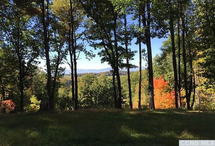 0 Co Rte 16 Claverack, NY 12513 - Photo 5 of 8 Photo 5