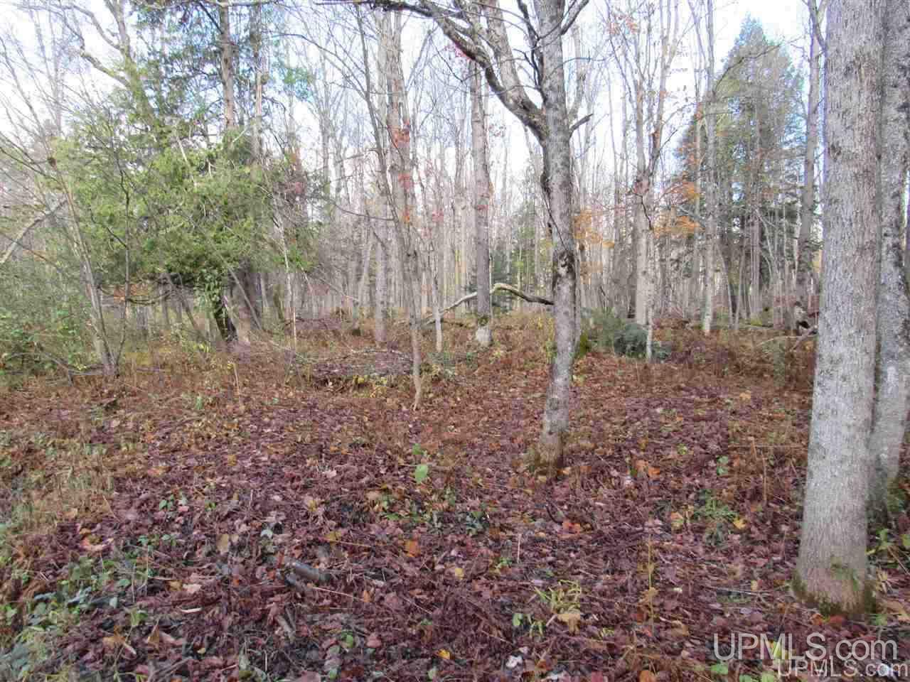Lot 1 Sicotte Road Skanee, MI 49962 - Photo 18 of 23