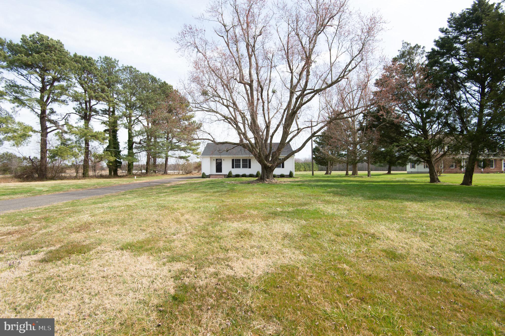 5171 Maple Dam Road Cambridge, MD 21613 - Photo 2 of 20 Gallery Image 2
