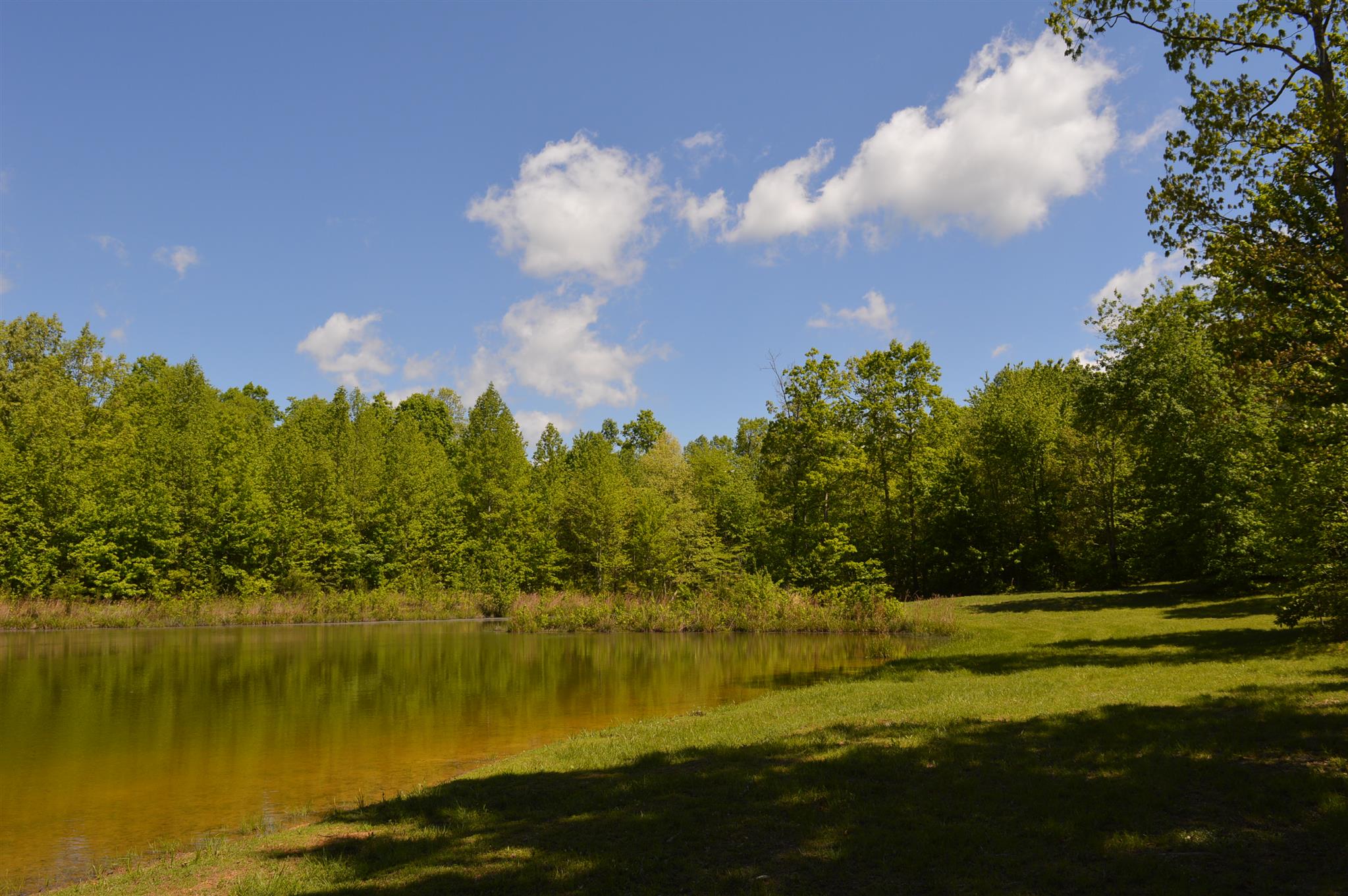 35 Azalea Ridge Road Monteagle, TN 37356 - Photo 5 of 8 Gallery Image 5