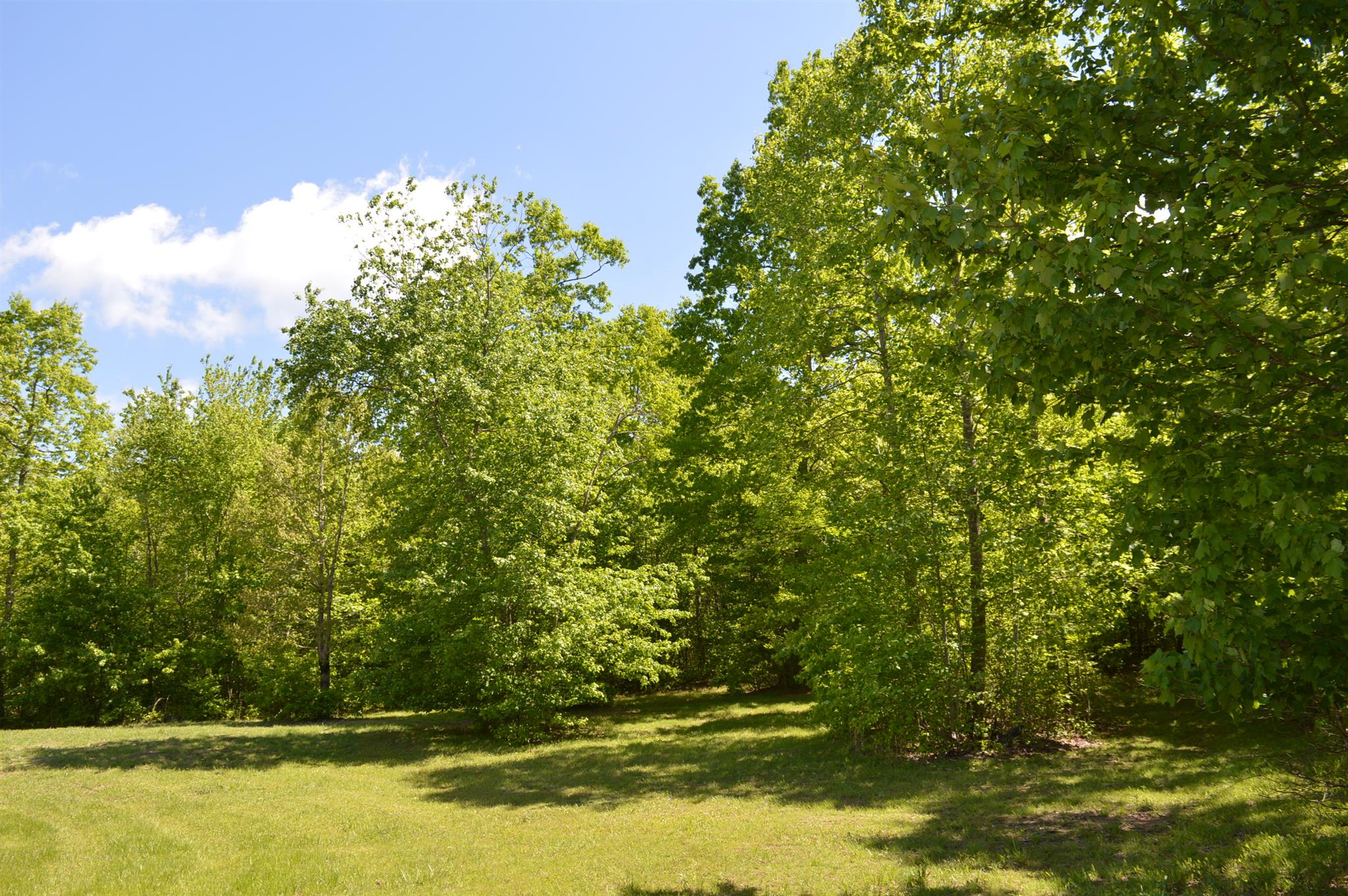 35 Azalea Ridge Road Monteagle, TN 37356 - Photo 6 of 8 Gallery Image 6