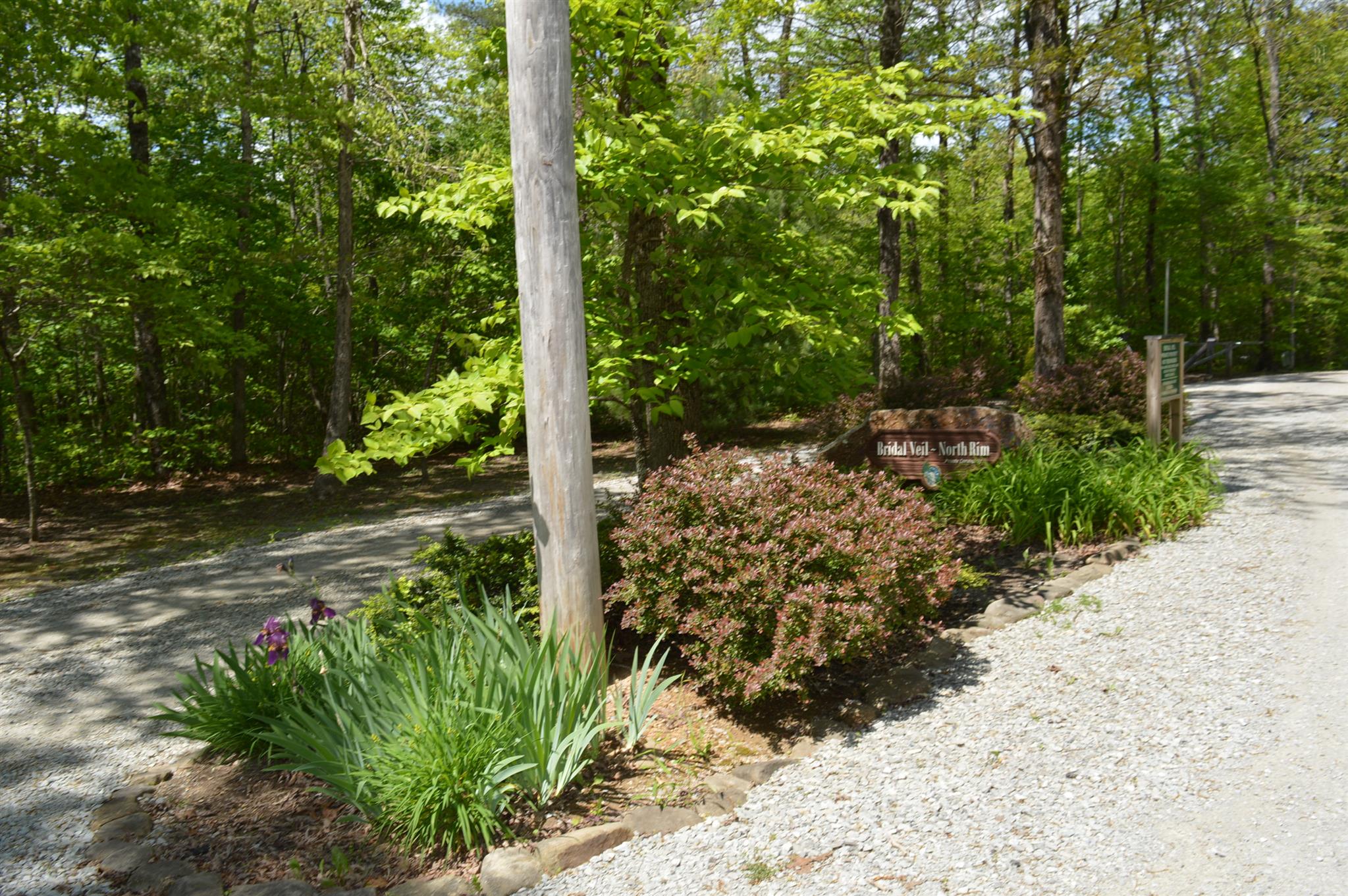 35 Azalea Ridge Road Monteagle, TN 37356 - Photo 8 of 8 Gallery Image 8