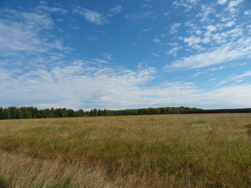 Acreage Acreage Ohlmann Road Merrill, WI 54452 - Photo 1 of 1