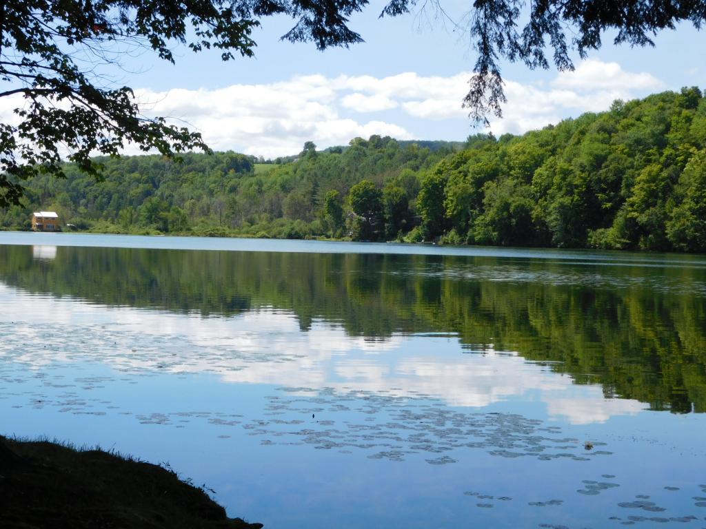 60 Lower Curtis Pond Road Calais, VT 05648 - Photo 22 of 23