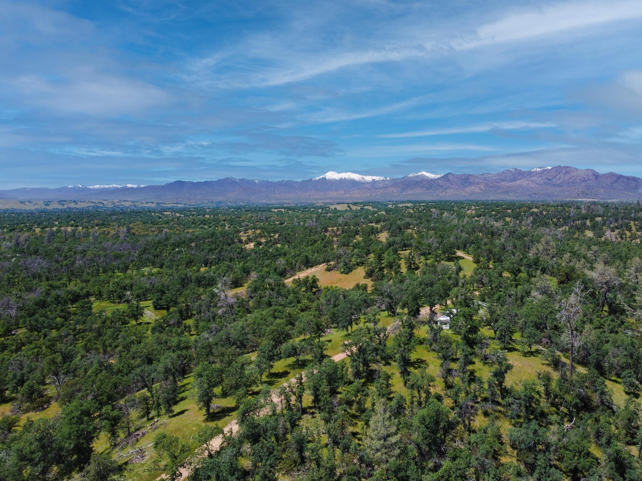40 Two Feathers Road Igo, CA 96047 - Photo 1 of 16 DJI_0075-Edit